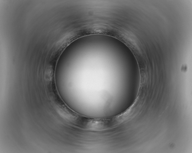 X0000091300174200708101316