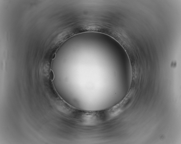 X0000091300175200708101316