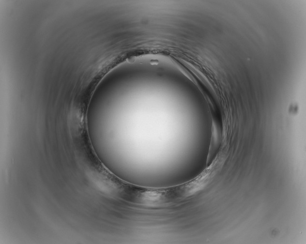 X0000091300176200708101316