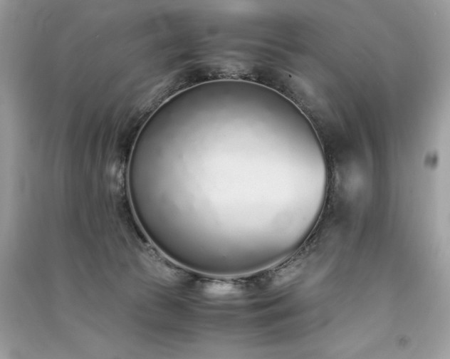 X0000091300177200708101316