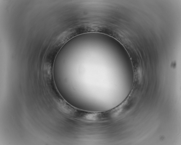 X0000091300178200708101316