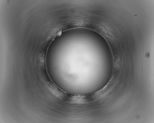 X0000091300179200708101316