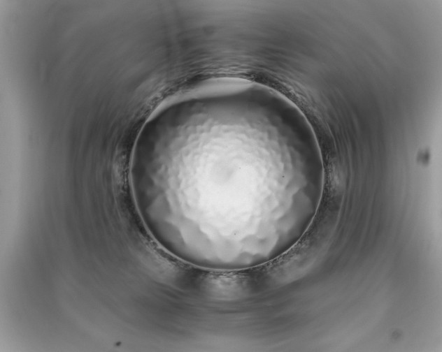 X0000091300181200708101316