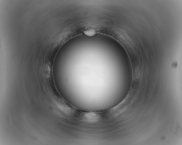 X0000091300183200708101316