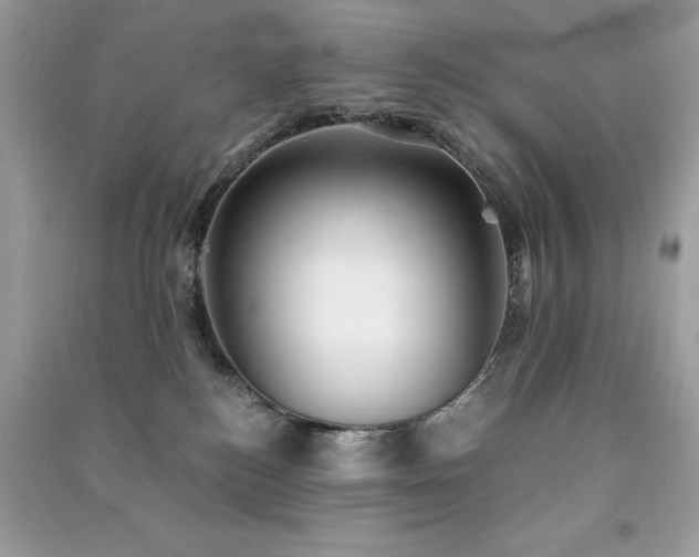 X0000091300184200708101316