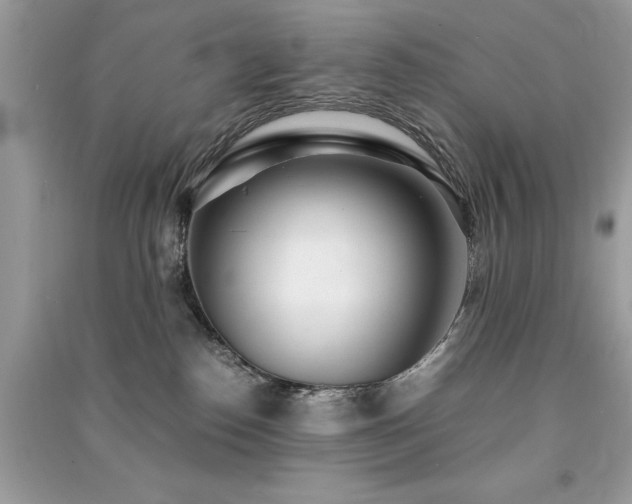 X0000091300186200708101316