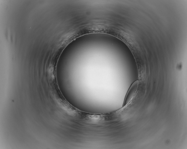 X0000091300187200708101316