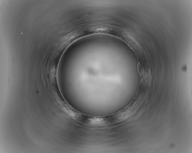 X0000091300189200708101316