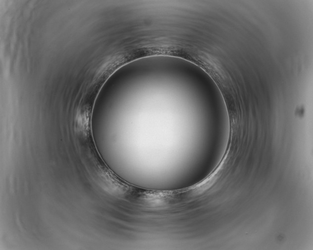 X0000091300190200708101316