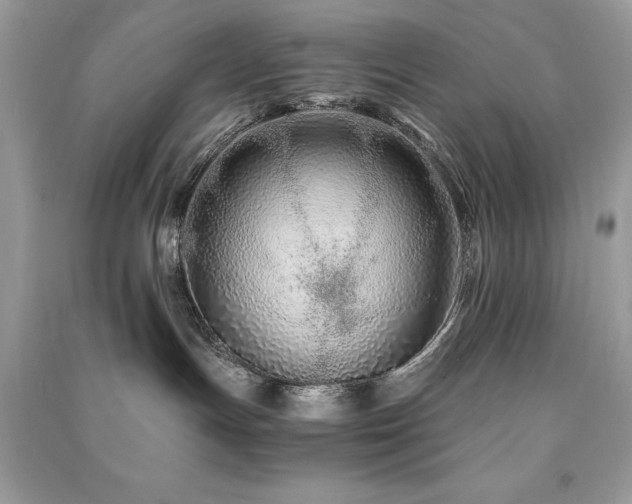 X0000091300191200708101316