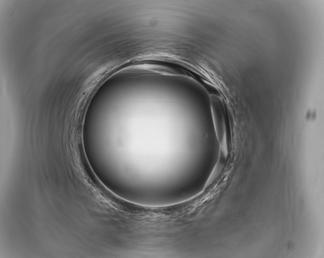 X0000091300193200708101315