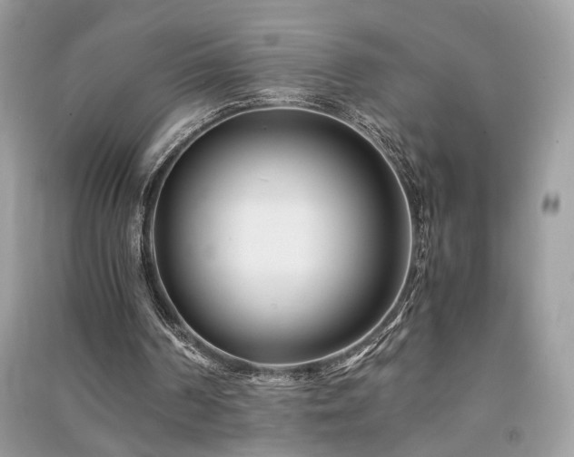 X0000091300194200708101315