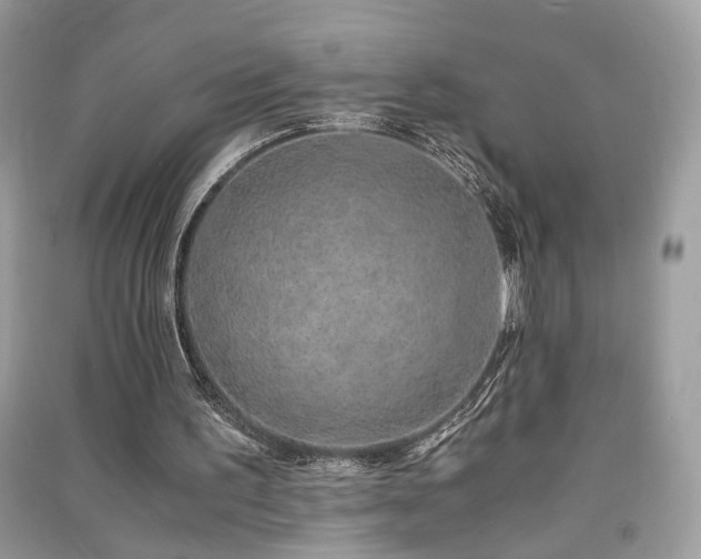 X0000091300195200708101315