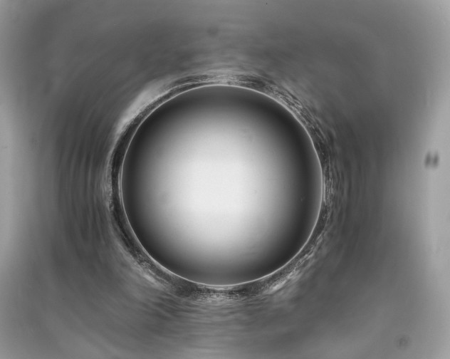 X0000091300198200708101315