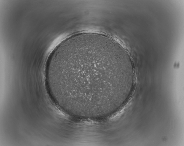 X0000091300199200708101315