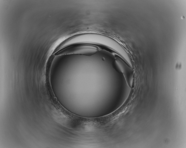 X0000091300200200708101315