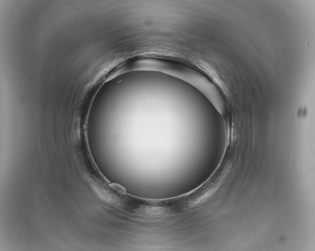 X0000091300205200708101315