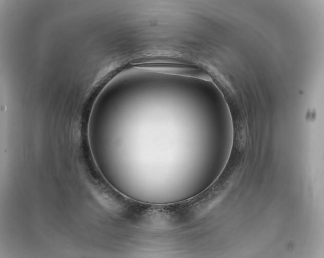 X0000091300207200708101315