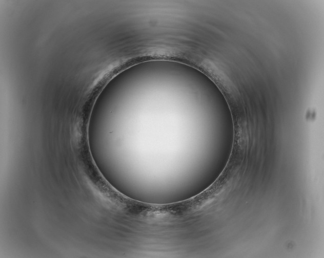 X0000091300208200708101315