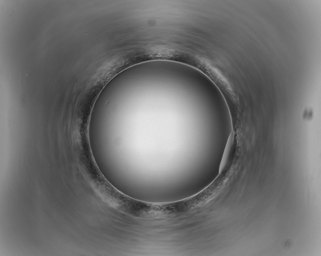 X0000091300209200708101315