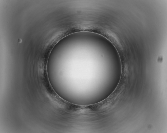 X0000091300210200708101315