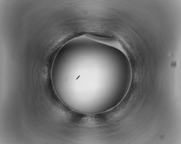 X0000091300211200708101315