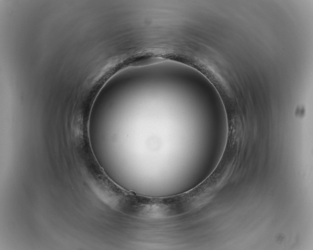 X0000091300212200708101315