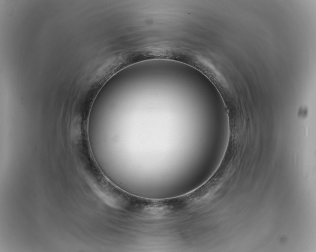 X0000091300213200708101315