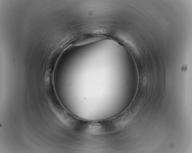 X0000091300214200708101315