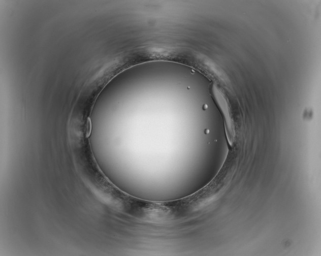 X0000091300215200708101315