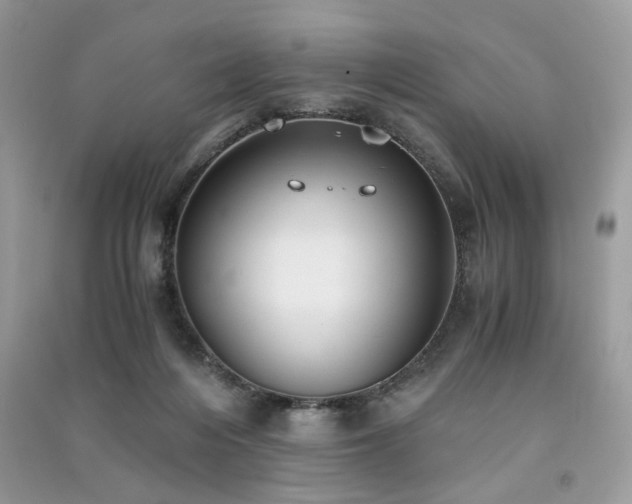 X0000091300216200708101315