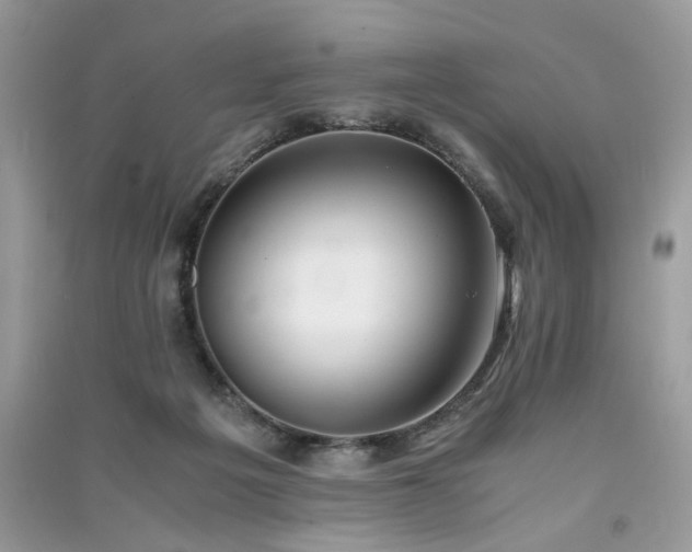 X0000091300217200708101315