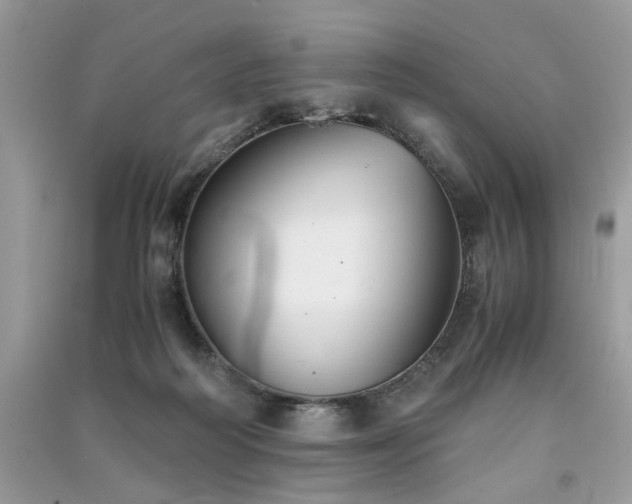 X0000091300218200708101315