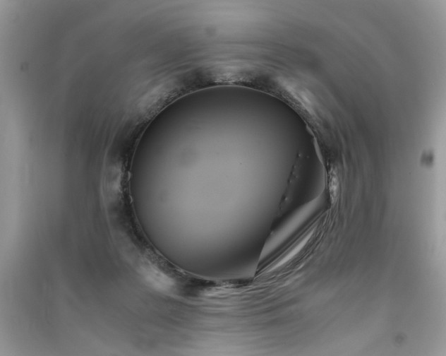 X0000091300219200708101315