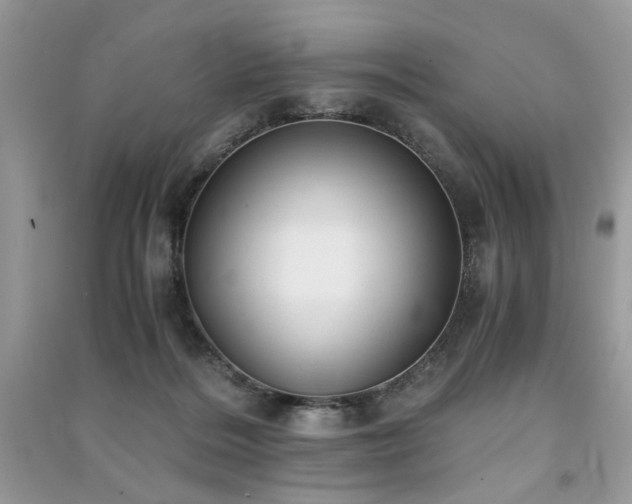 X0000091300220200708101315