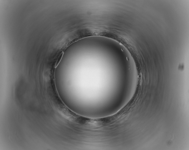 X0000091300221200708101315