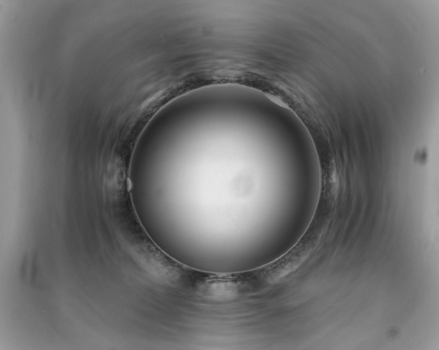 X0000091300228200708101315