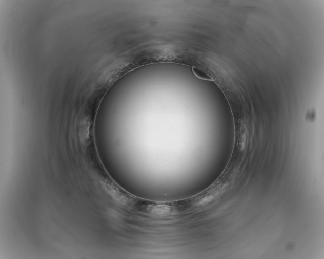 X0000091300230200708101315