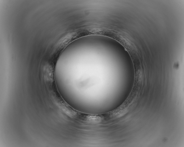 X0000091300234200708101315