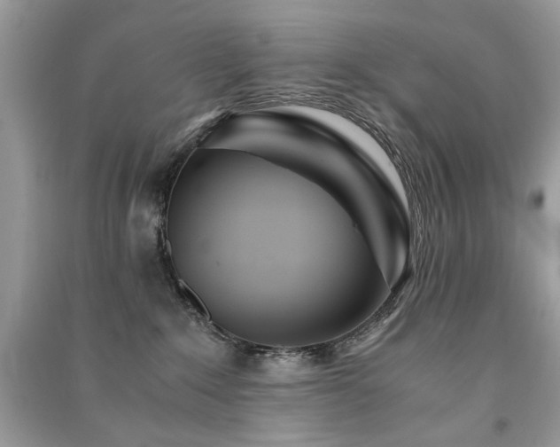 X0000091300235200708101315