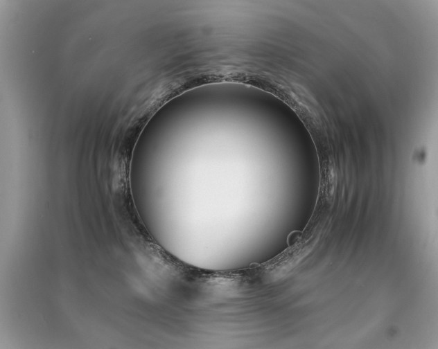 X0000091300236200708101315