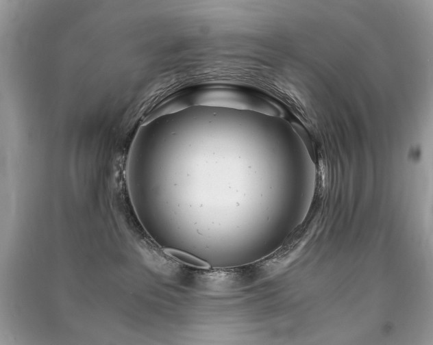 X0000091300237200708101315