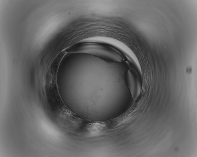 X0000091300239200708101315