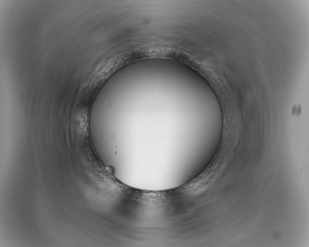 X0000091300240200708101315