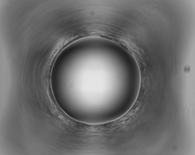 X0000091300241200708101314