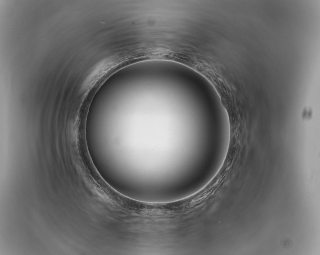 X0000091300242200708101314