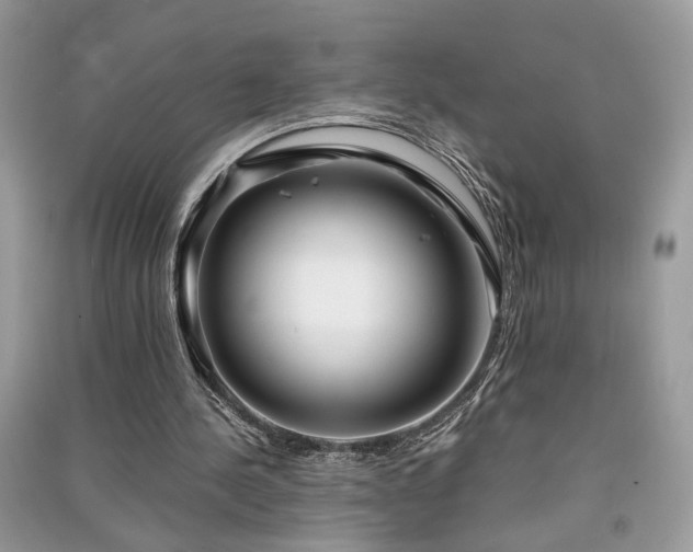 X0000091300244200708101314