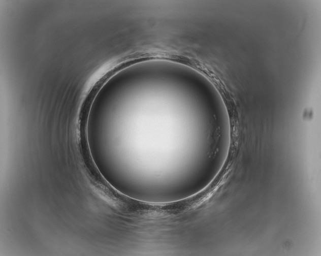 X0000091300246200708101314