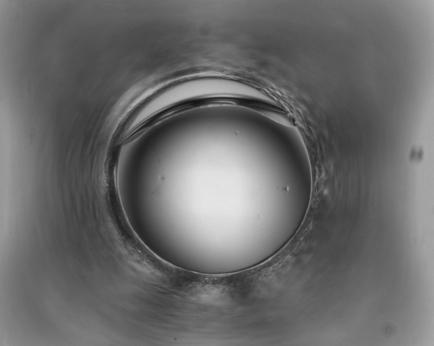 X0000091300247200708101314