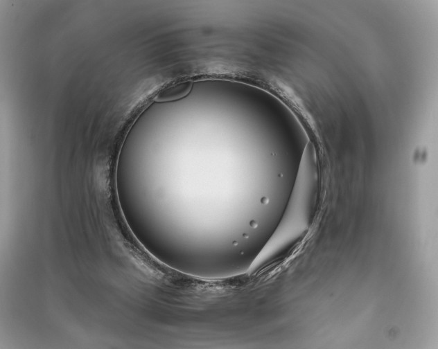 X0000091300249200708101314